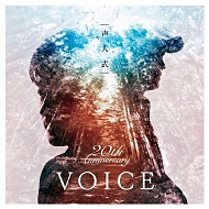 voice